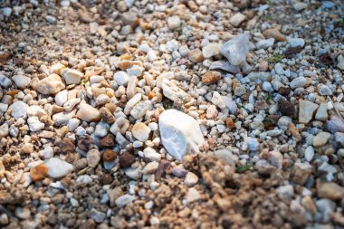 Çeşit çeşit çakıl dokusuna detaylı bir bakış açısı doğanın karmaşık yapısını zemin seviyesinde bir perspektiften gösteriyor..