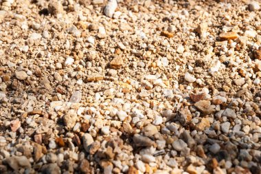 Doğal çakıl dokularının detaylı görünümü Dünya 'nın bileşiminin hikayesini ortaya koyuyor..