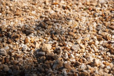 Çeşitli dokular ve doğal renklerin sergilendiği çakıl taşı yüzeyinin detaylı bir görüntüsü.