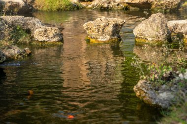 Sakin bir su havuzuna yansıyan doğal taş oluşumlarını gösteren sakin bir sahne..