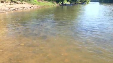 Tayland ve Burma ya da Myanmar arasında doğal sınır hattı Moei nehirde balık