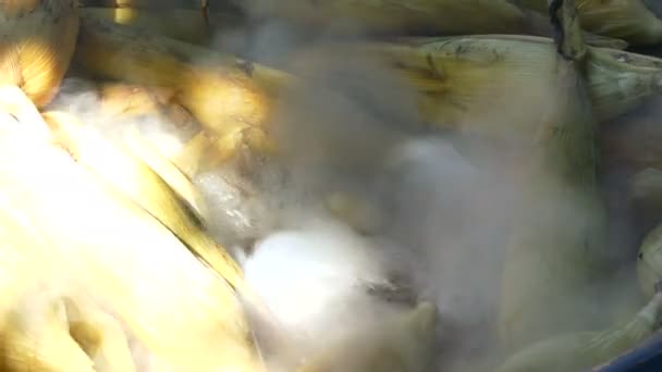 Las mazorcas de maíz hirviendo en un wok para vender maíz dulce cocido en Tailandia — Vídeos de Stock