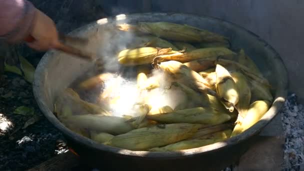Βραστό καλαμπόκι στάχυα σε ένα γουόκ για πώληση μαγειρεμένα καλαμπόκι στην Ταϊλάνδη — Αρχείο Βίντεο