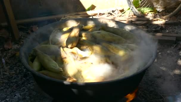 Кипіння кукурудзи качанів в wok для продажу варена кукурудза в Таїланді — стокове відео