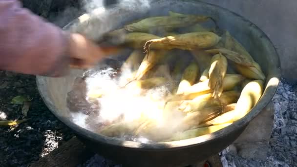 Cobs de milho fervendo em um wok para vender milho doce cozido na Tailândia — Vídeo de Stock