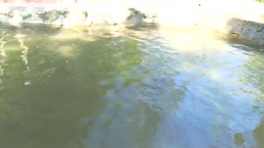 Kaplıca Mae Kasa. Kaplıcalar turistler için ziyaret için ilgi büyük. Ve kaplıca banyoları gevşeme