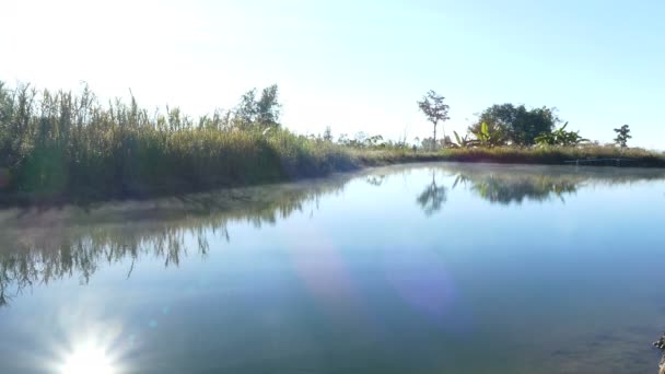Ambiente dos recursos naturais de água doce — Vídeo de Stock
