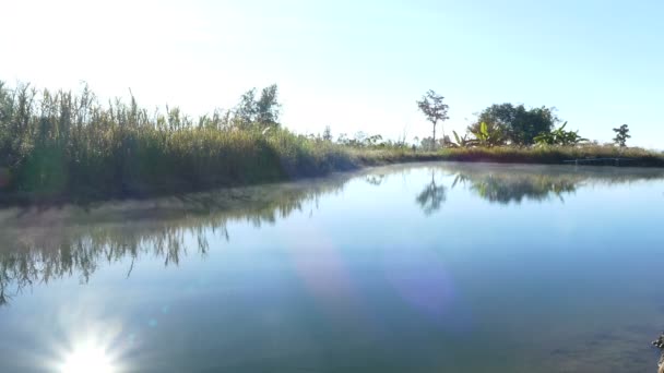 Ambiente delle risorse naturali di acqua dolce — Video Stock