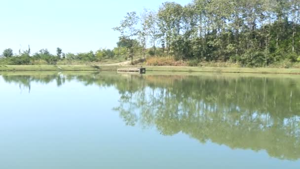 Naturalne wody słodkiej zasobów środowiska — Wideo stockowe