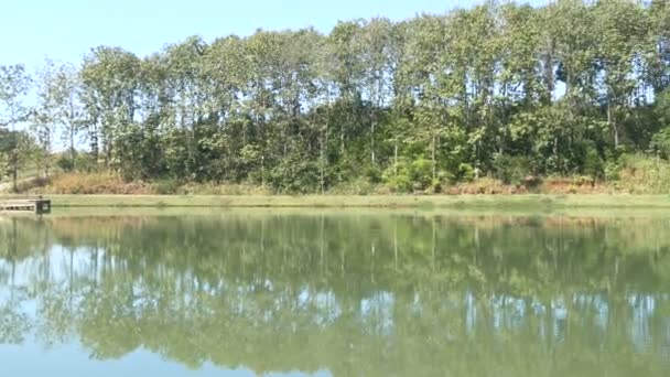 Ambiente dos recursos naturais de água doce — Vídeo de Stock