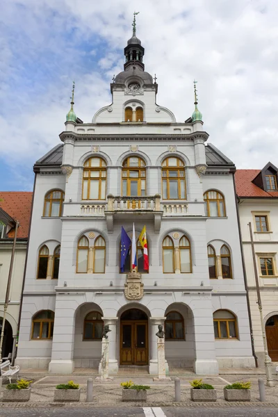 Novo Mesto's Town Hall — Stock Photo, Image