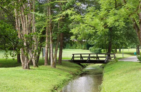 Brook, een Park oversteken — Stockfoto