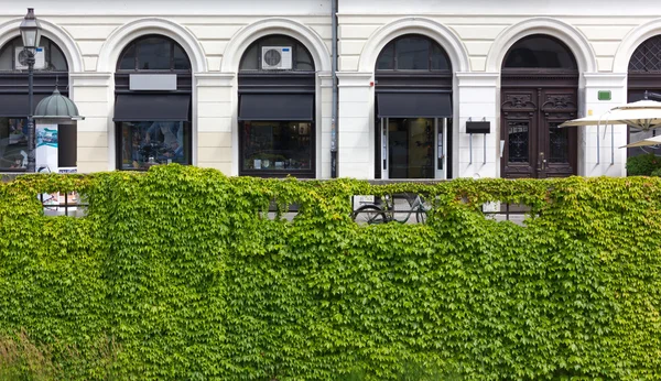 Pedestrian Street in Ljubljana — Stock Photo, Image