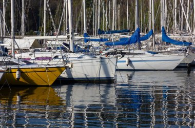 Yat limanında demirlemiş bir grup yelkenlinin yakın çekimi.