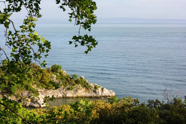 Dante Rock Adriatic Sea Front Duino Castle Trieste Coast Italy — Stock Photo, Image
