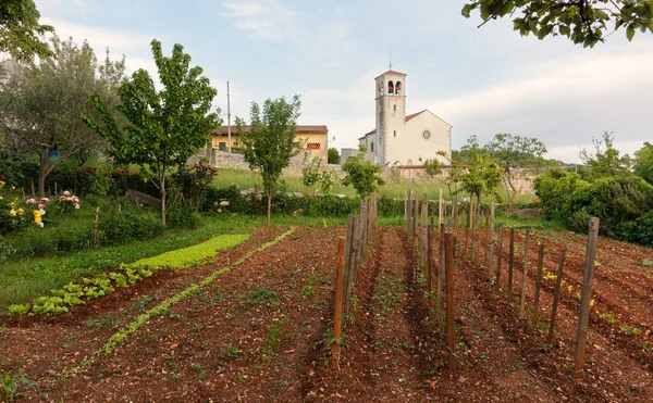 Duino Aurisina Itália Maio 2021 Pequena Horta Aldeia Slivia Slivno — Fotografia de Stock