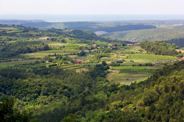 Green Mediterranean Landscape — Stock Photo, Image