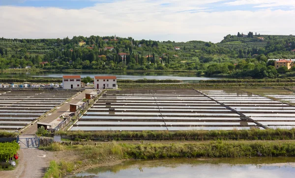 Strunjan saltworks