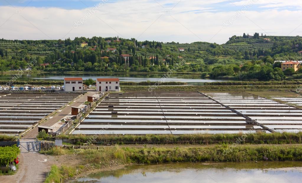 Saltworks in Strunjan