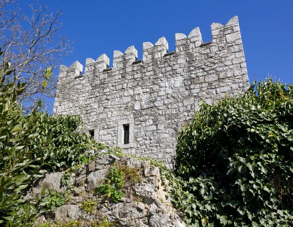 Castelo de Branik — Fotografia de Stock