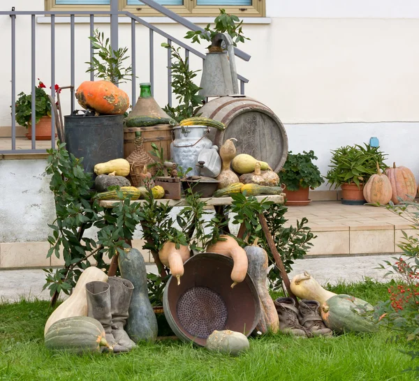 Composition of Farming Culture Objects — Stock Photo, Image