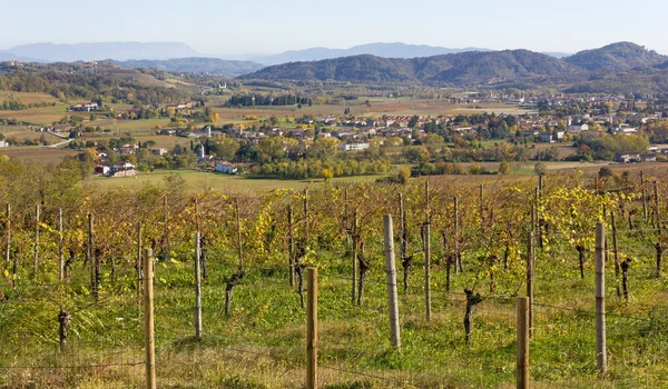 Autumn Landscape in the Collio — Stock Photo, Image