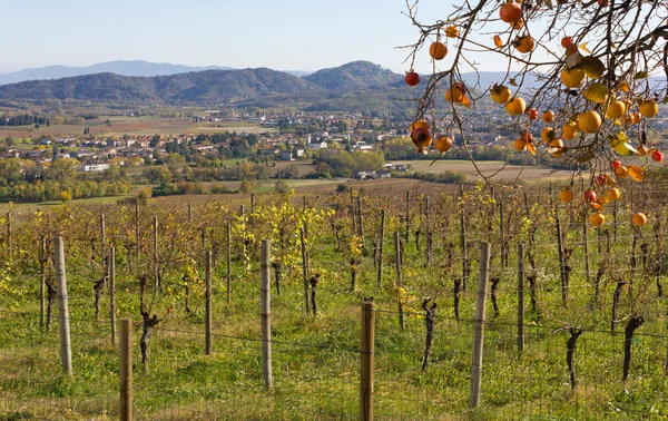 Осінній пейзаж у місті Collio — стокове фото