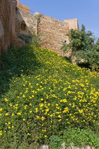 Alcazaba Fortress in Malaga — Stock Photo, Image