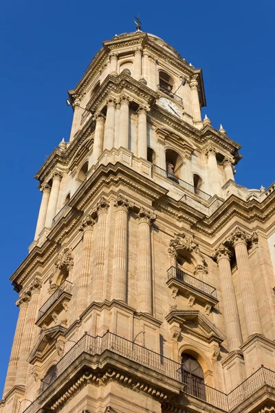 Malaga kathedraal Steeple — Stockfoto