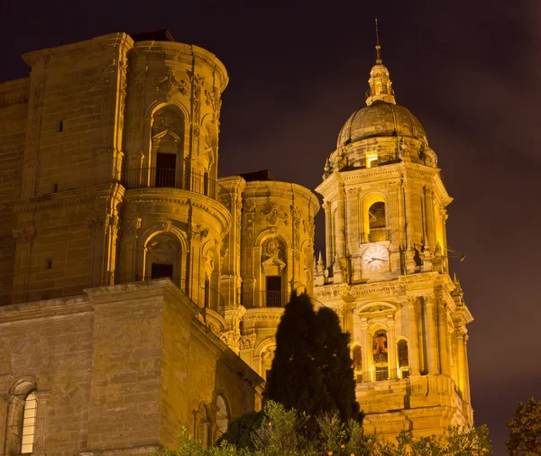 Vista nocturna de la Catedral de Málaga — Foto de Stock