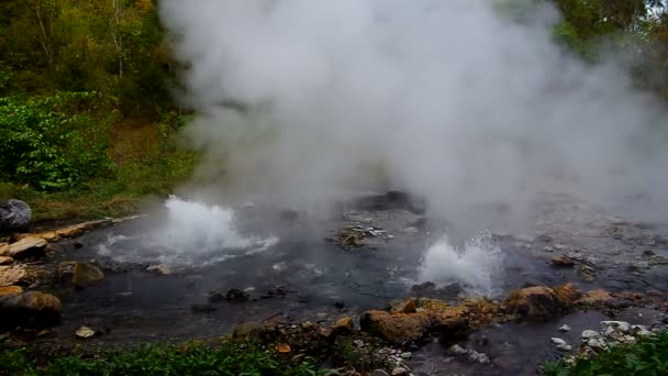 Varma våren på Pong duett Geyser — Stockvideo