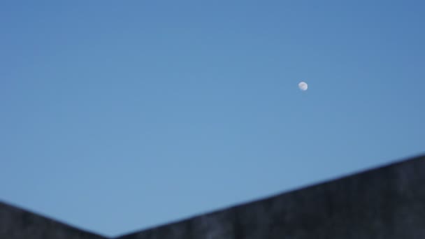 Moon movement in the blue sky — стоковое видео