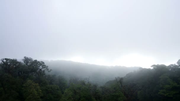 Fluxo de nuvens sobre a floresta e cordilheira — Vídeo de Stock