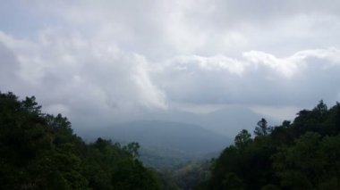 hızlı bulut akış ormanın üzerinde