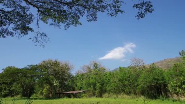 Cloud movement on agricultural land — Stock Video