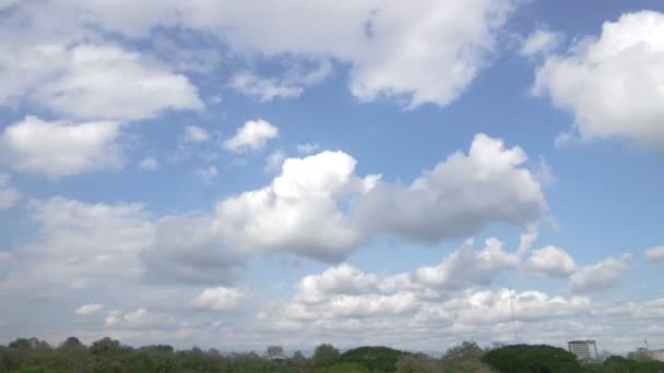 Wolk verkeer over de boom luifel — Stockvideo