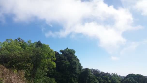 Movimento de nuvens sobre a floresta tropical — Vídeo de Stock