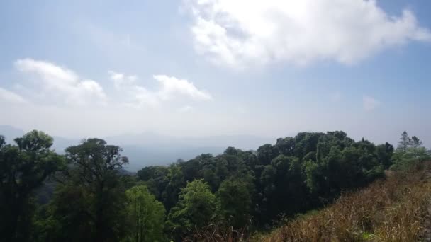 Bulut hareketi tropikal orman üzerinde — Stok video