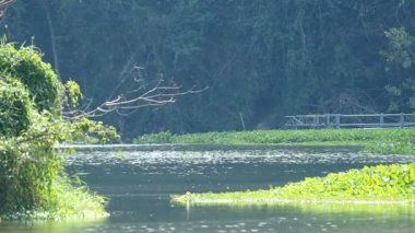 havzanın su akışı