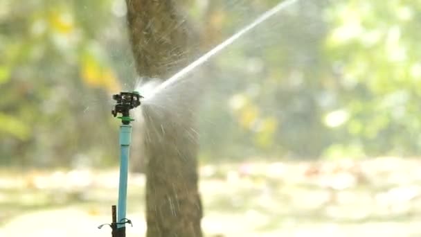 Hoofd van Water sprinkler sproeien van water — Stockvideo