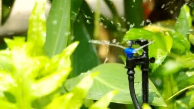 küçük yağmurlama su püskürtme