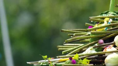 Lotus çiçek ve kutsal su