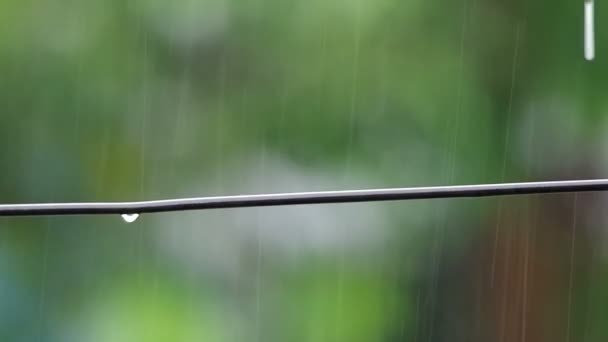 Gouttelettes d'eau sous le fil — Video