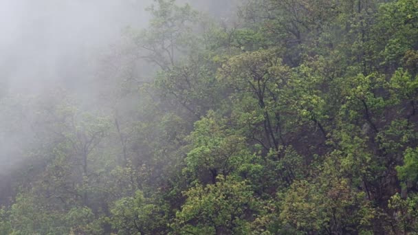 Nuage pluvieux sur la montagne — Video