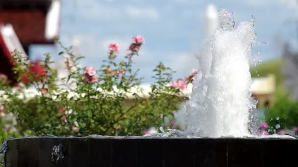 Fonte de água perto da flor — Vídeo de Stock