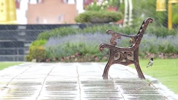 Spraying water on the bench in the park — Stock Video