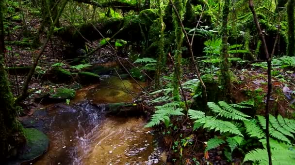 source de source d'eau de source 