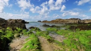 Bir hafif yukarı doğru hareket pan Cornish kıyı deniz yosunu ve kayalar üzerinde zemin seviyesinden yukarı geliyor gelgit ve ufuk ortaya çıkarmak için.