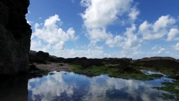 A gentle upward motion pan over rockpool with seaweed, to reveal lapping waves and distant headland, horizon and blue sky. — Stock Video