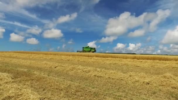Grüner Mähdrescher, der an einem sonnigen Tag reifen Weizen auf dem Feld erntet. — Stockvideo